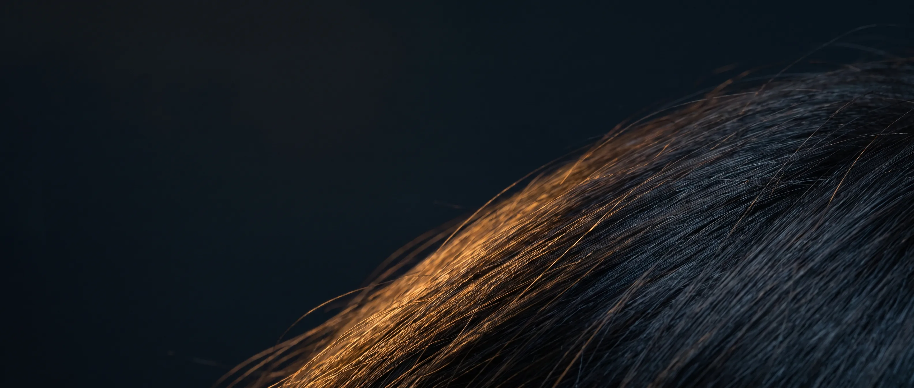 Close-up of healthy hair strands catching warm light
