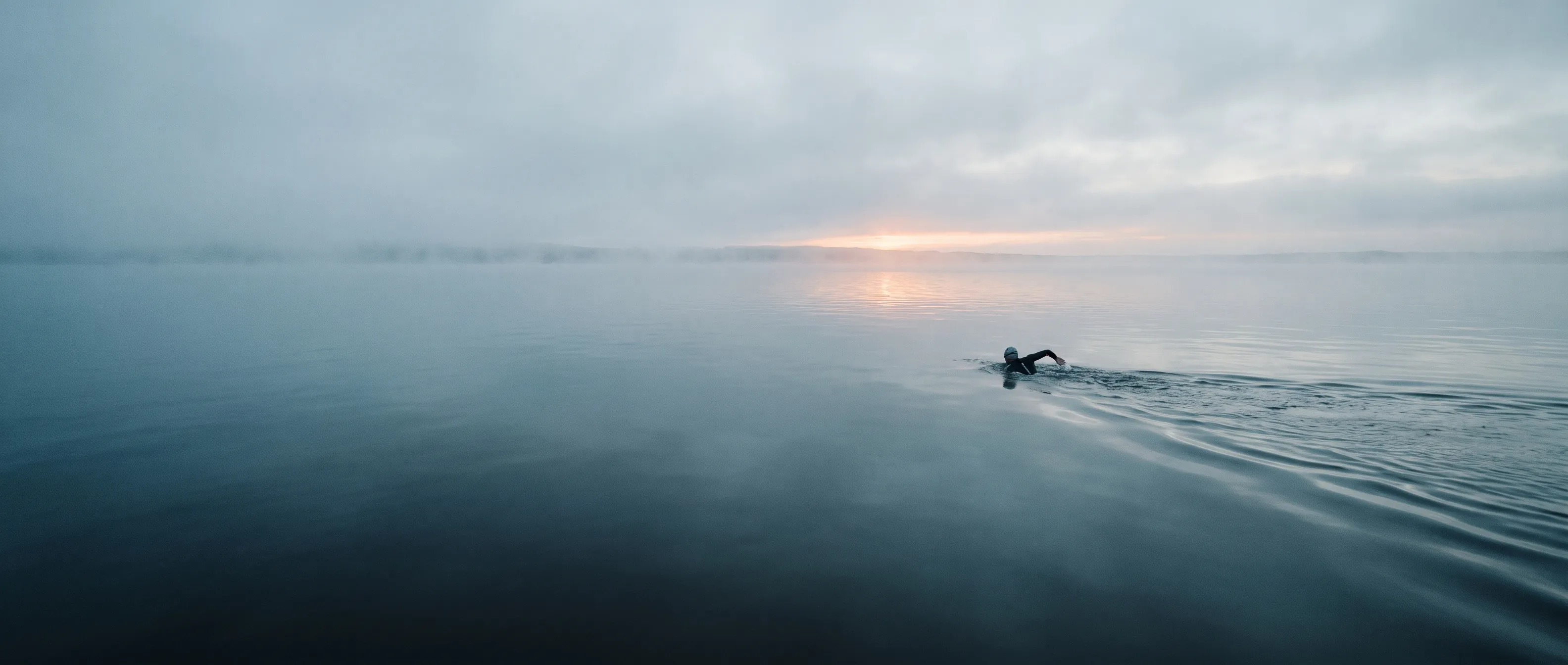 A lone swimmer crossing calm open water at first light
